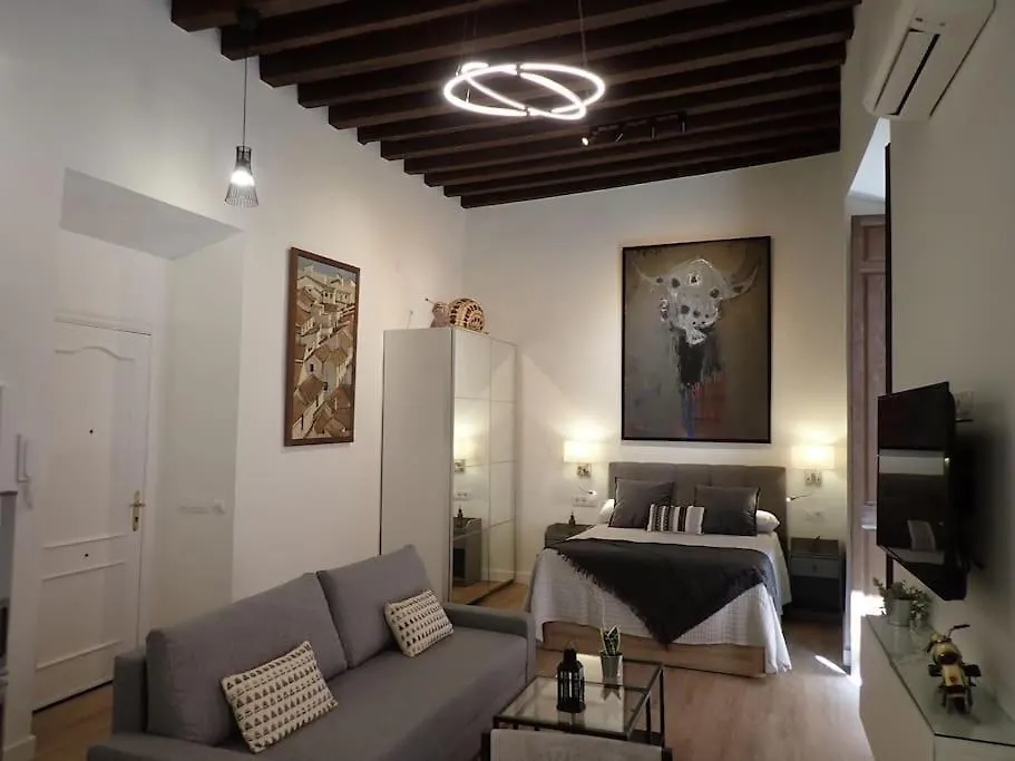 Apartament The Loft Chinitas Malaga